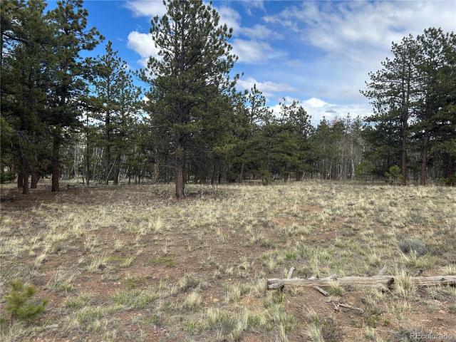 Land for sale in Hartsel, Park County