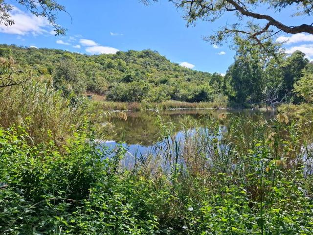 Farm for sale in Ehlanzeni, Mpumalanga