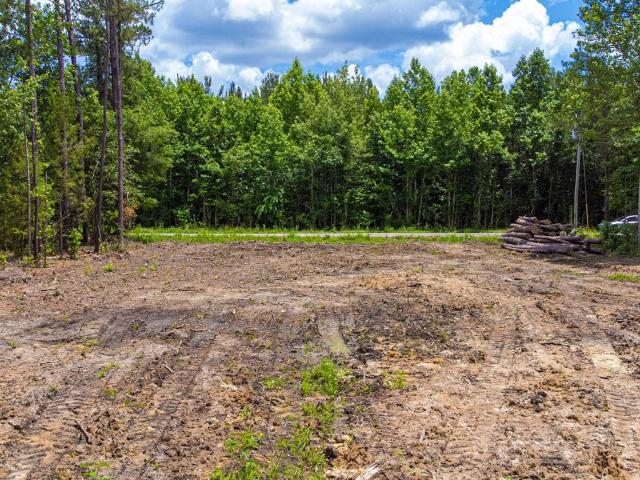 Land for sale in Andrews, South Carolina