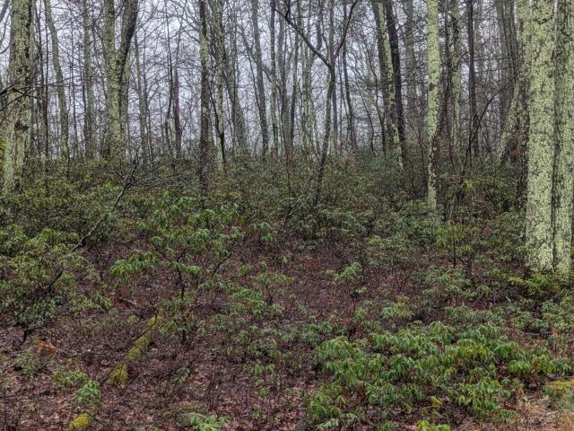 Land for sale in Accord, New York