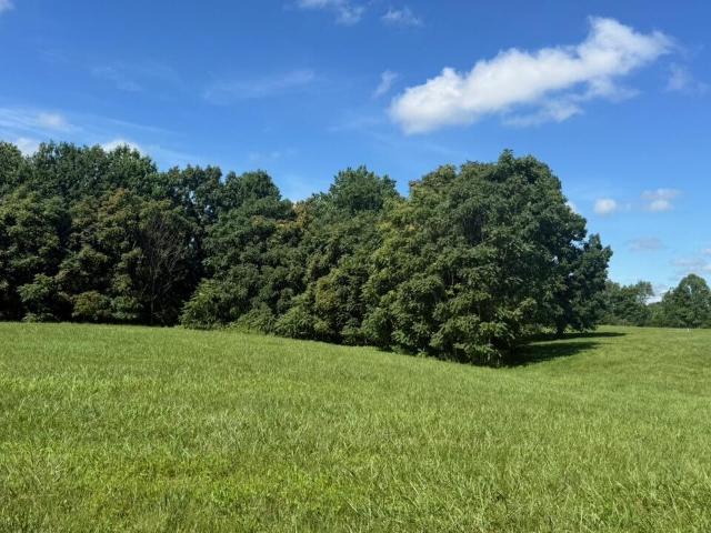 Land for sale in Russell Springs, Kentucky