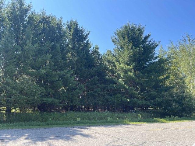 Land for sale in Gladwin, Michigan