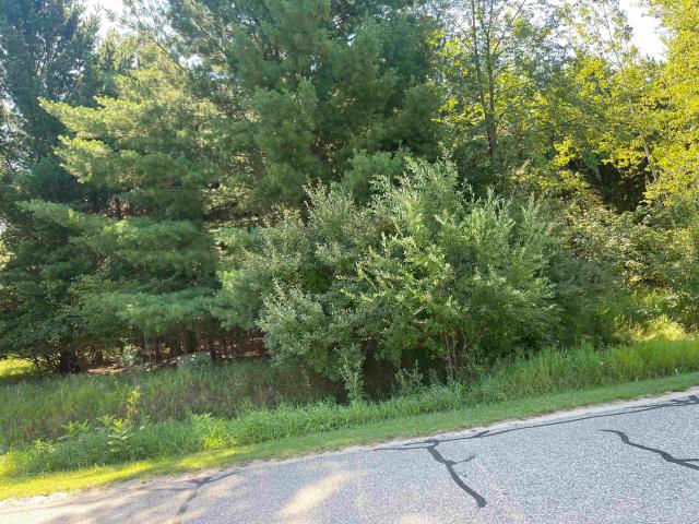 Land for sale in Michigan