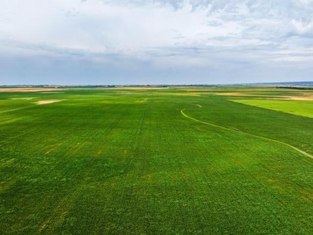 Land for sale in Bottineau, Bottineau County