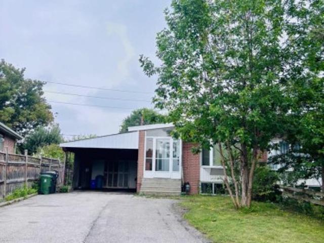 House for rent in Woburn, Ontario