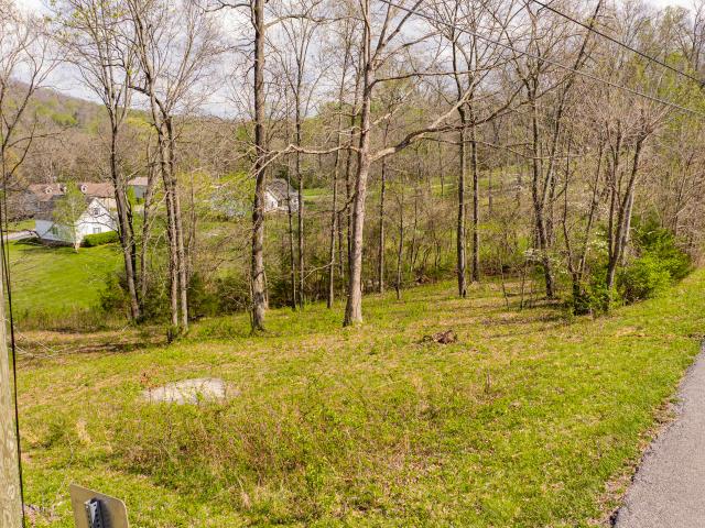 Land for sale in Monticello, Kentucky