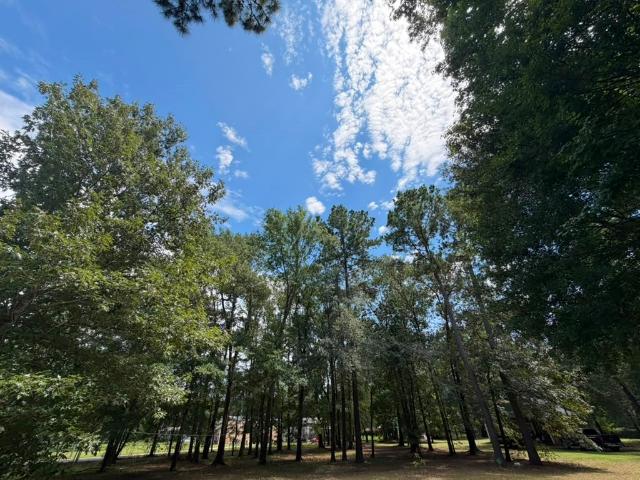 House for sale in Coldspring, Texas