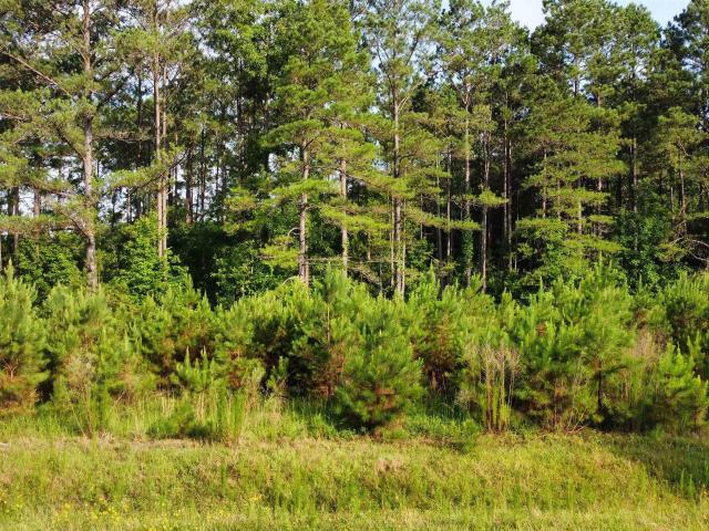 Land for sale in Ark