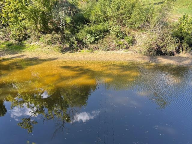 Land for sale in Riverside, Walker County