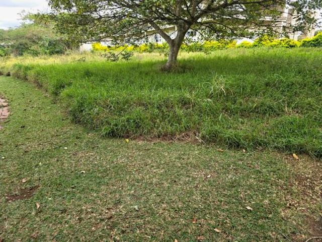 Land for sale in Eshowe, Kwazulu-natal