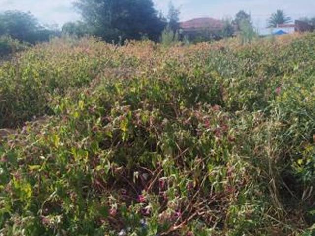 Land for sale in Sedibeng, Gauteng