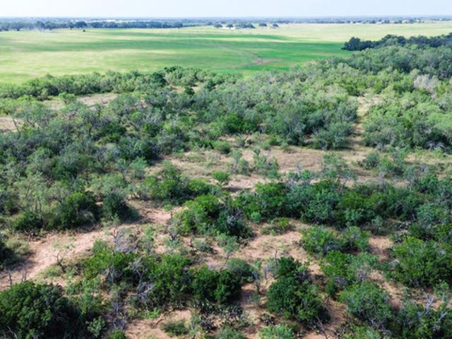 Land for sale in Poteet, Texas