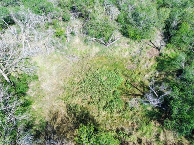 Land for sale in Poteet, Texas