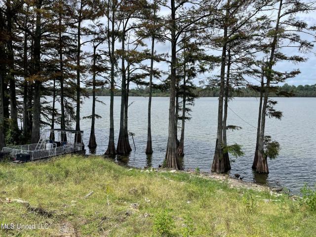 Land for sale in Coahoma, Mississippi