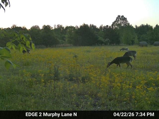 Land for sale in Tennessee