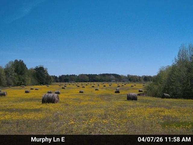 Land for sale in Tennessee