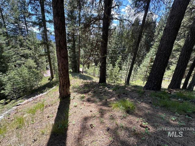 Land for sale in Cascade, Idaho
