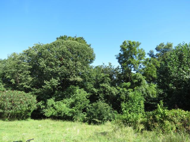 Land for sale in Morgantown, Brown County