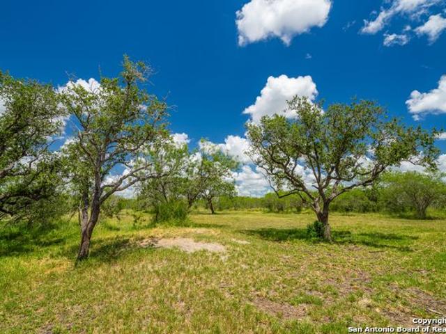 Land for sale in Bee, Texas