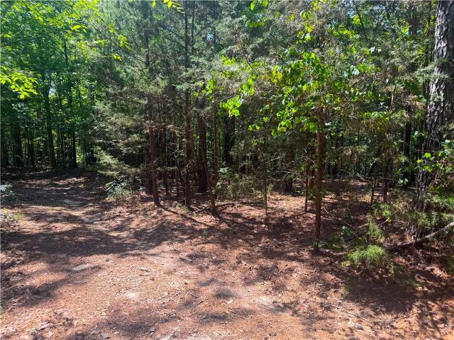Land for sale in Waterloo, South Carolina