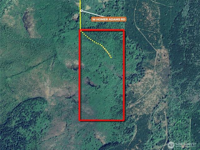 Land for sale in Elma, Washington