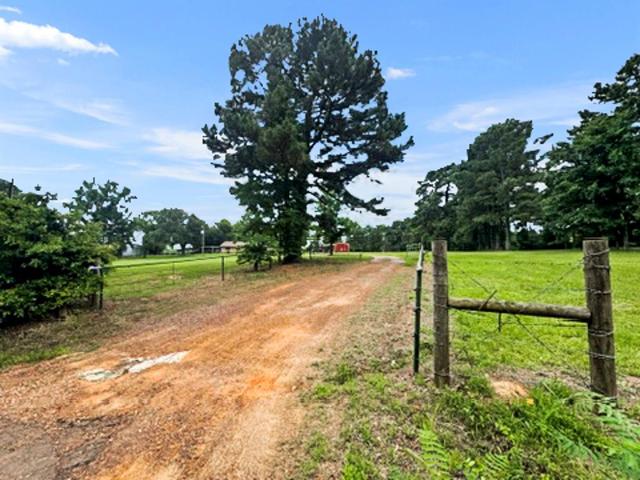 Land for sale in Diana, Texas