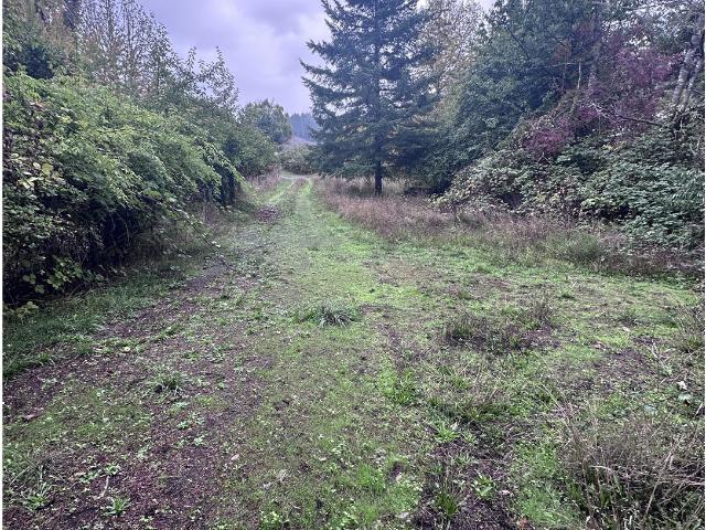 House for sale in Myrtle Point, Oregon