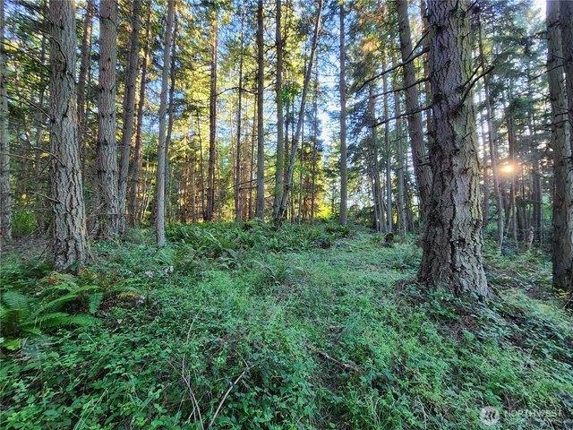 Land for sale in Freeland, Washington