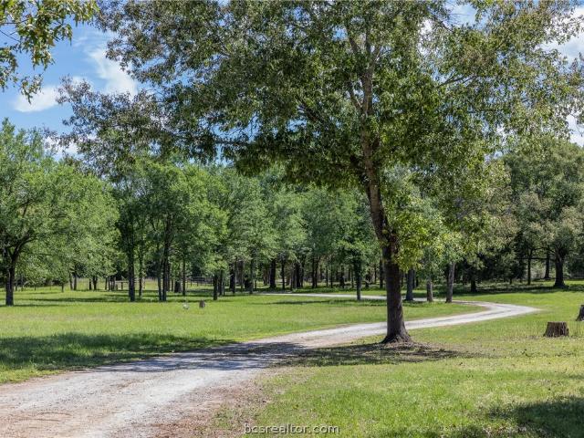 Land for sale in Midway, Texas