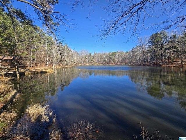 House for sale in Coosa, Alabama