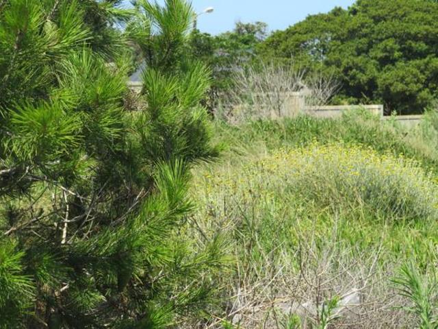 Land for sale in Bushmans River Mouth, Eastern Cape