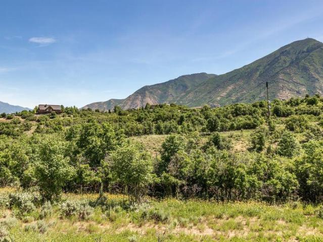 Land for sale in Woodland Hills