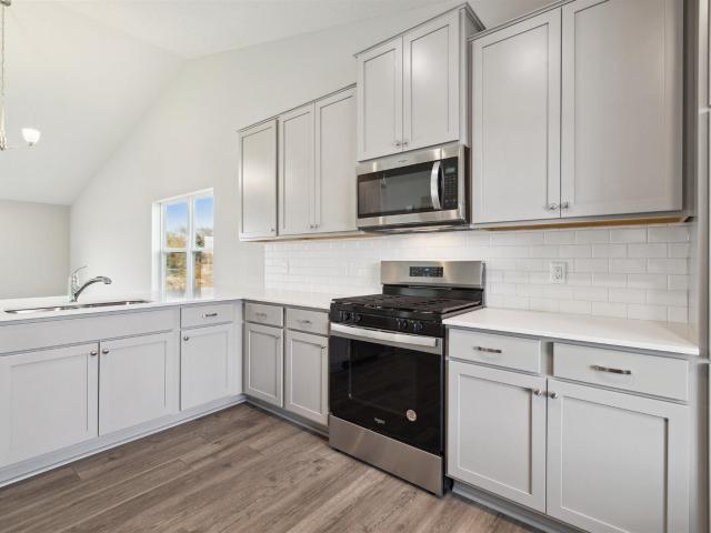 House for sale in Cottage Grove, Minnesota