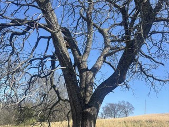 Farm for sale in Tennessee