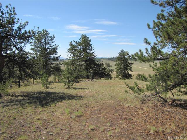 Land for sale in Hartsel, Park County