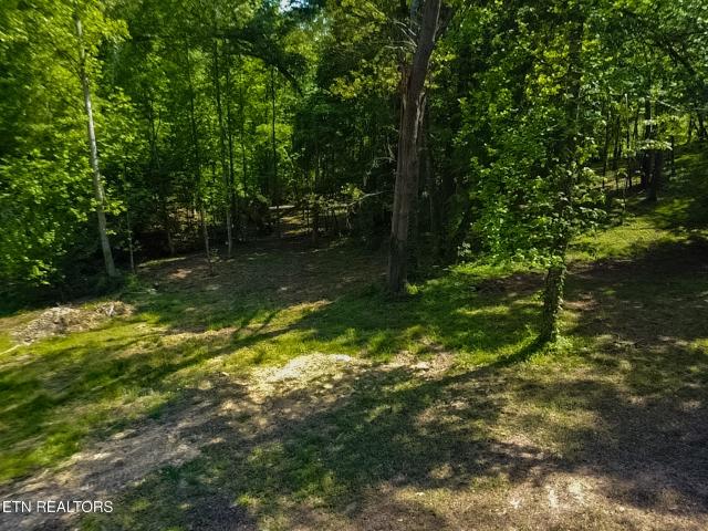 Land for sale in Tennessee