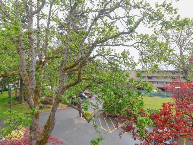 Apartment for rent in North Quadra, Saanich