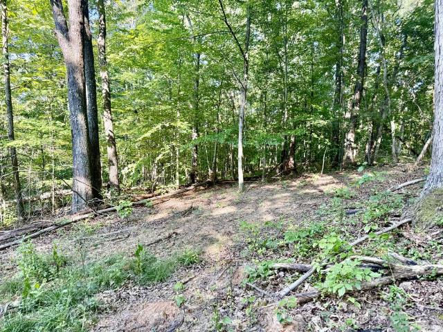 Land for sale in Gallipolis, Ohio