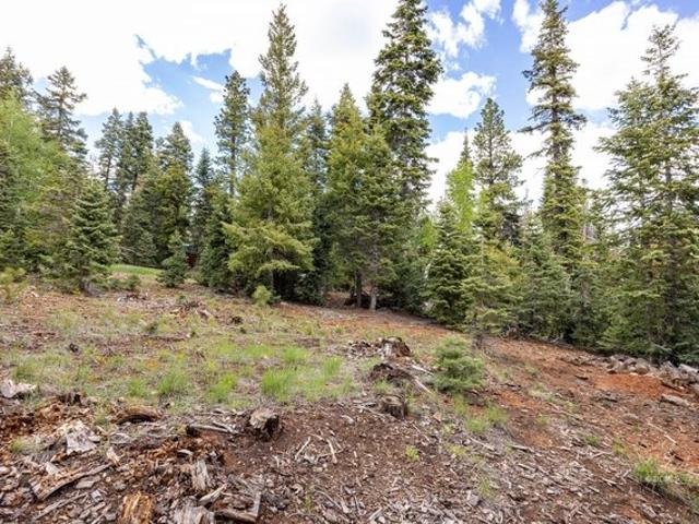Land for sale in Duck Creek Village, Utah