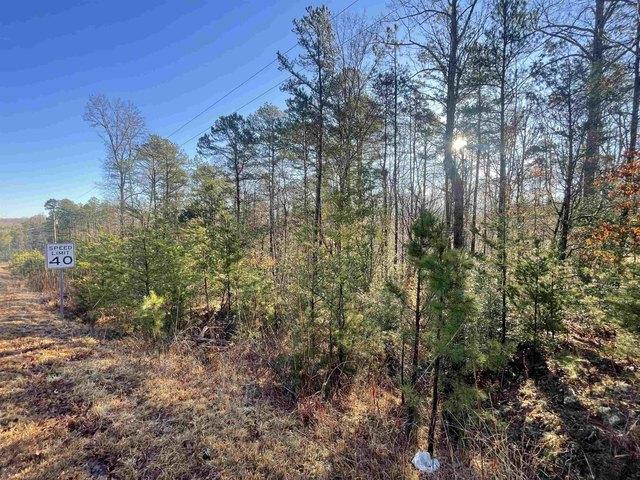 Land for sale in Pauline, South Carolina