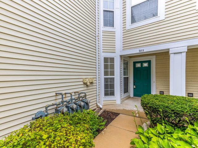 Condo for sale in Elk Grove Village, Illinois