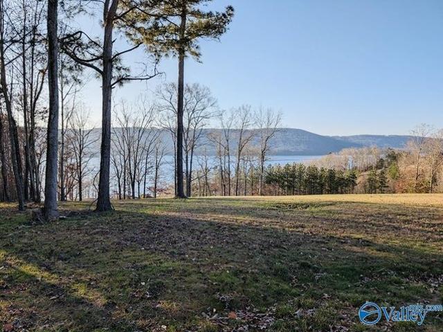 Land for sale in Scottsboro, Alabama