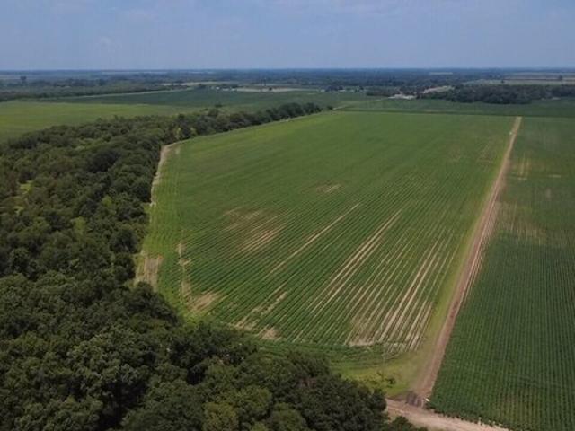 Land for sale in Clarendon, Monroe County