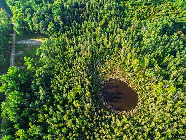 Land for sale in Michigan