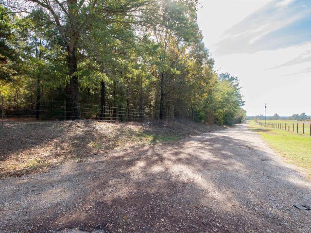 Land for sale in Cuney, Texas