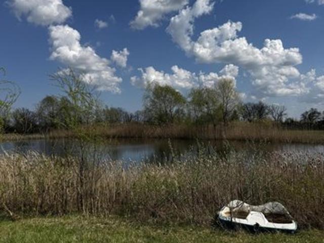 Land for sale in Milan, Michigan
