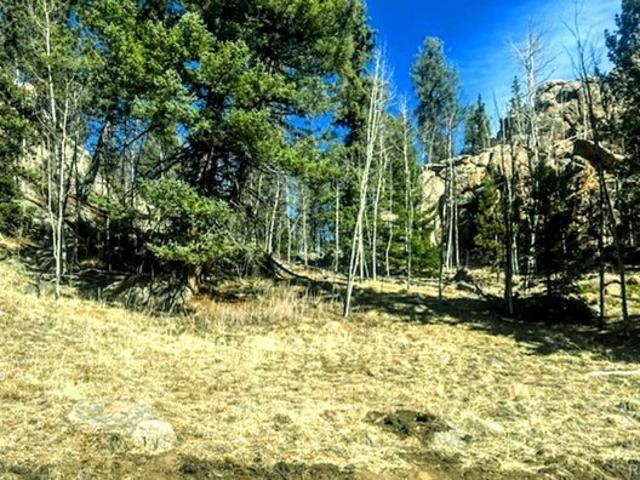 Land for sale in Teller, Colorado