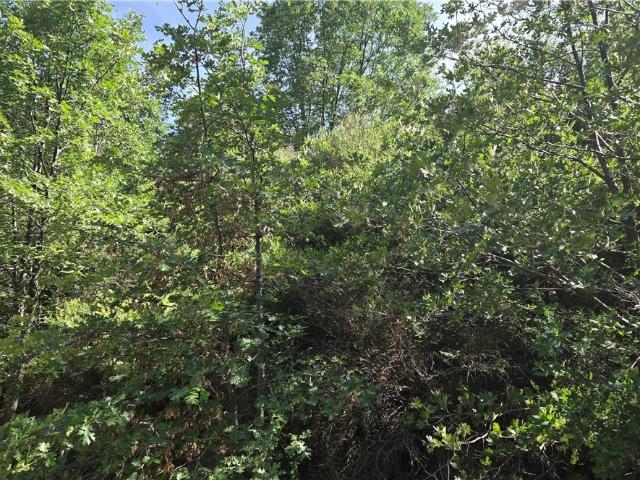 Land for sale in California
