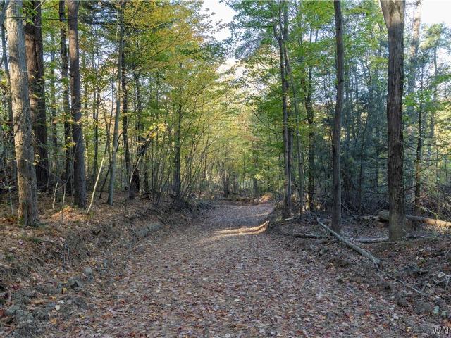 Land for sale in Derby, New York