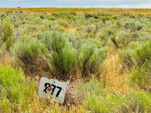 Land for sale in Wilson Creek, Washington